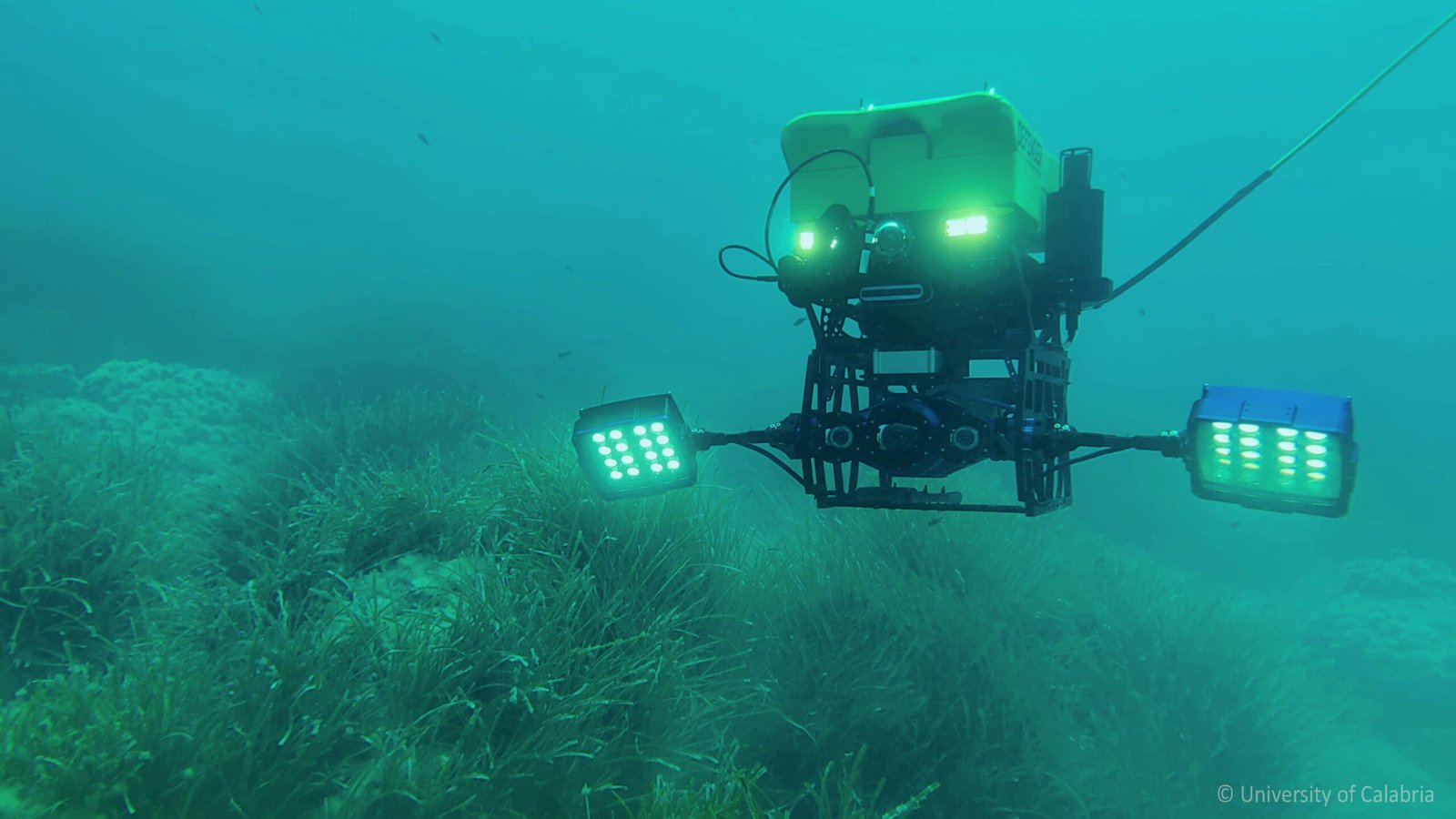 uBlueTec_Educational_Materials_Digital