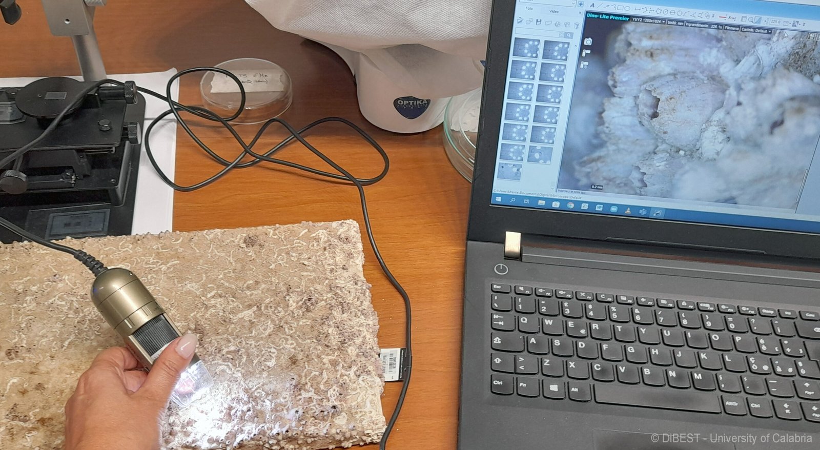 uBlueTec_Educational_Materials_UW tecs