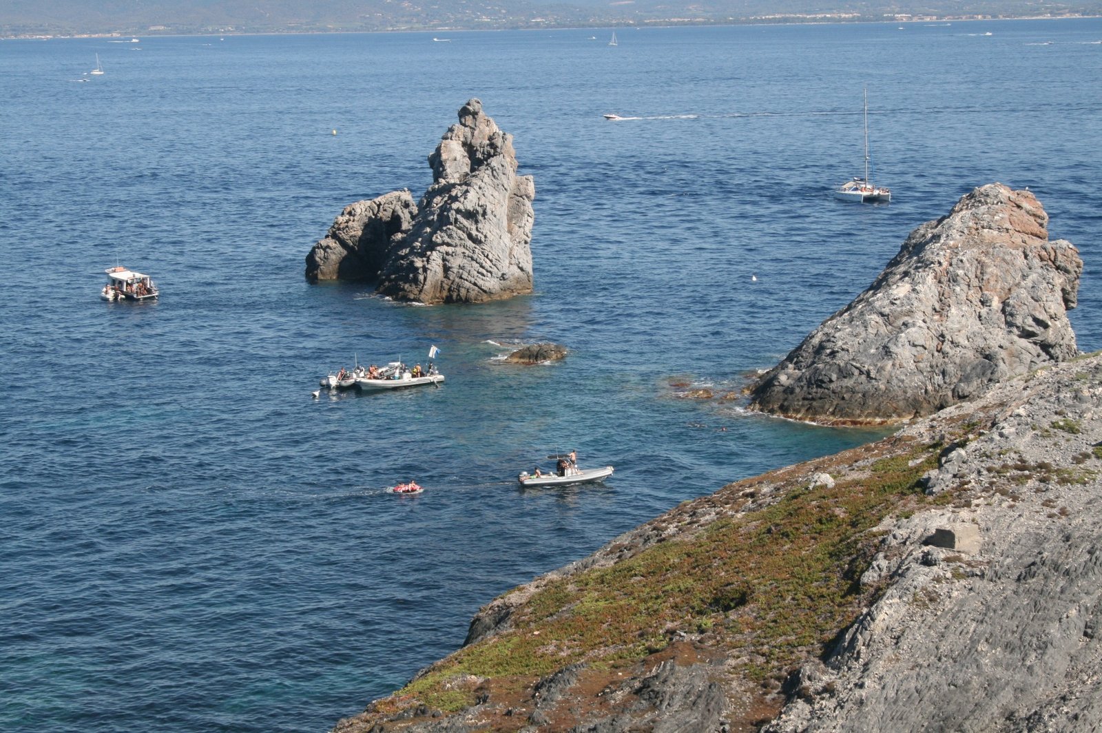 Multidisciplinary Approaches to Marine Conservation Policies