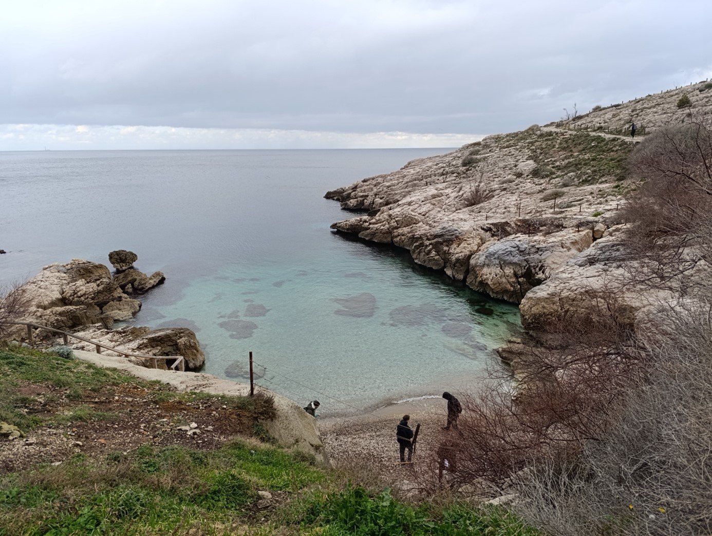 Environmental conflicts and consultation