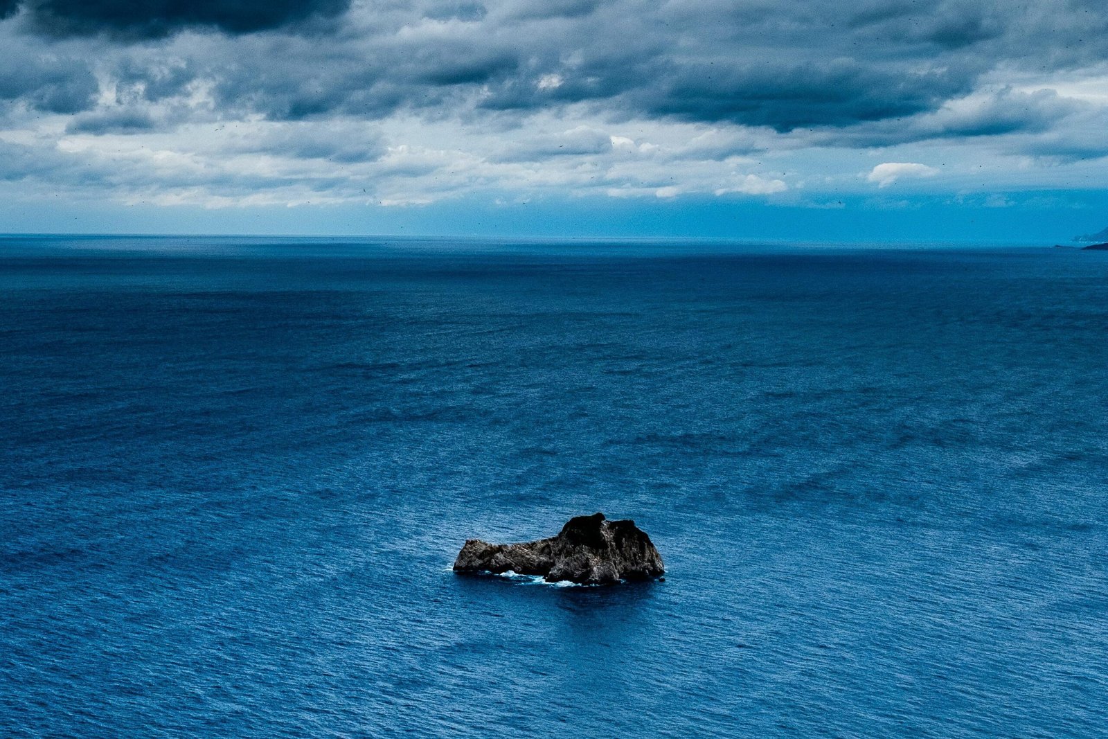 Disciplinary Foundations